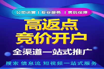 某某企业SEM营销案例：从SEM到全渠道营销的转型之路